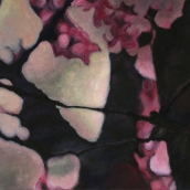"Ma Forêt enchantée I" - série Sakura - 2015 - 60 x 30 cm