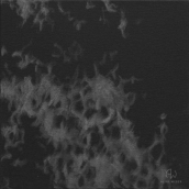 "Reflet N°1" - 20 cm x 20 cm - 2017 - Graphite pur sur toile noire