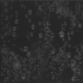 "Reflet N°3" - 20 cm x 20 cm - 2017 - Graphite pur sur toile noire