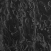 "Reflet N°5" - 20 cm x 20 cm - 2017 - Graphite pur sur toile noire