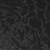 "Reflet N°6" - 20 cm x 20 cm - 2017 - Graphite pur sur toile noire