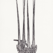 Bec-de-grue à sphinx (n°1) - 2018 - dessin à la plume et à l'encre sur papier - 20 x 29 cm